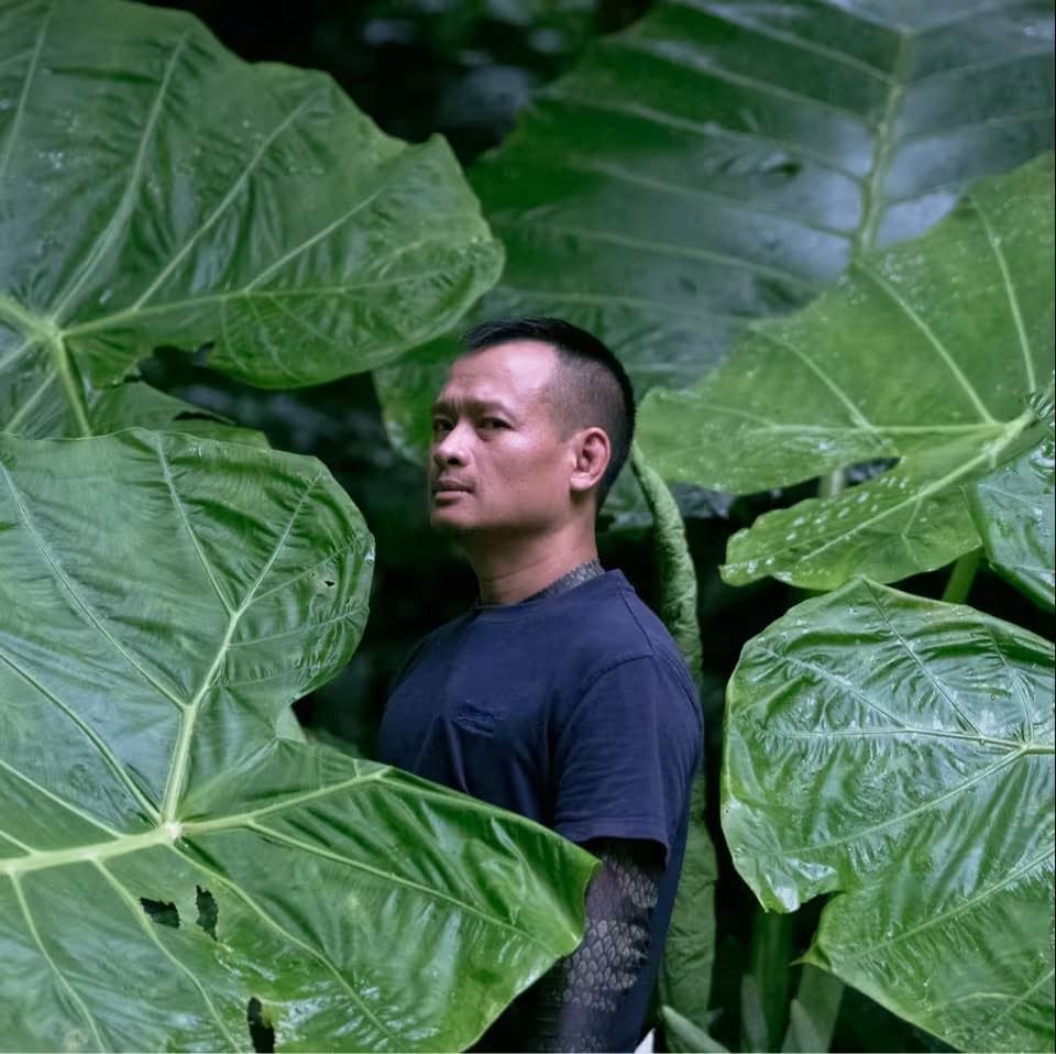 Nguyen Cao Hoang - Vietnamese Oil Painter